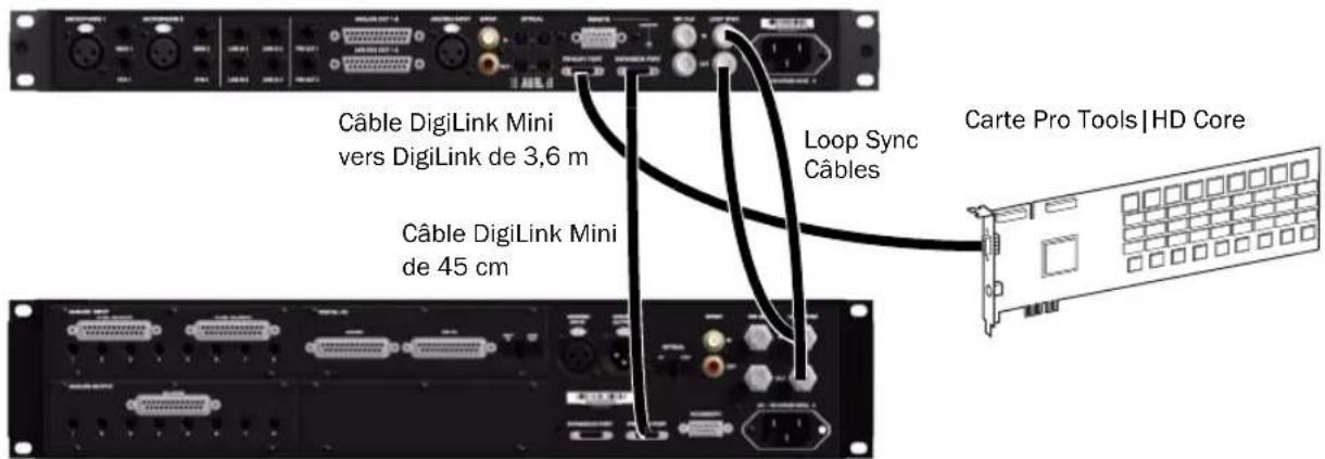 Avid Pro Tools HD 8.1 - Pour établier des connexons Loop Sync : - 1