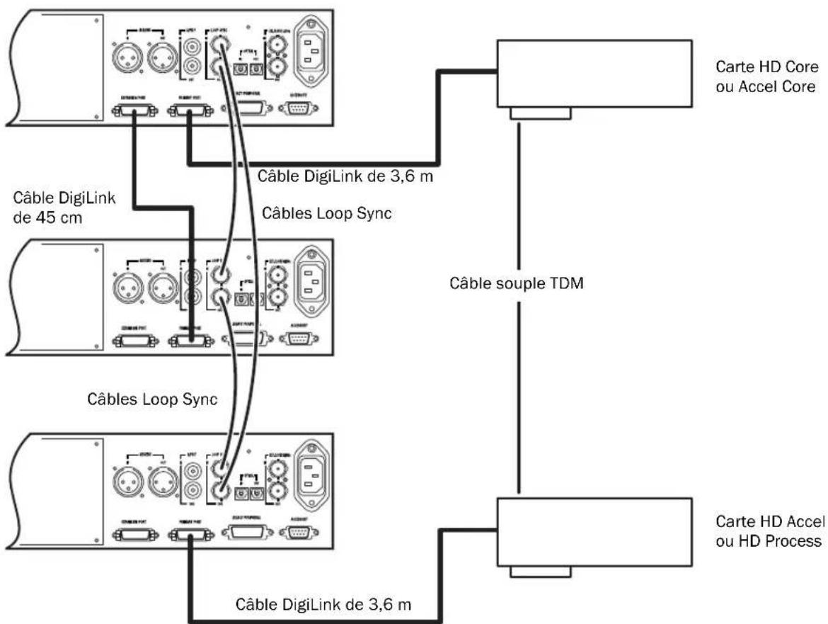 Avid Pro Tools HD 8.0 - Connexion d'interfaces audio - 3