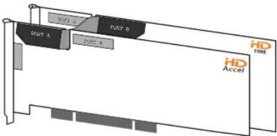 Avid Pro Tools HD 8.0 - Insertion du câble souple TDM - 2