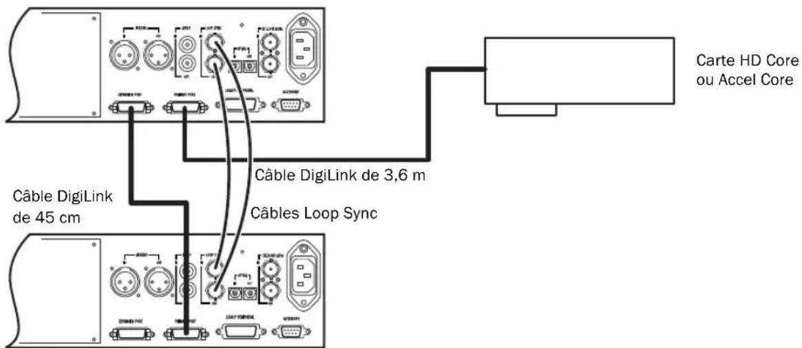 Avid Pro Tools HD 8.0 - Connexion d'interfaces audio - 2