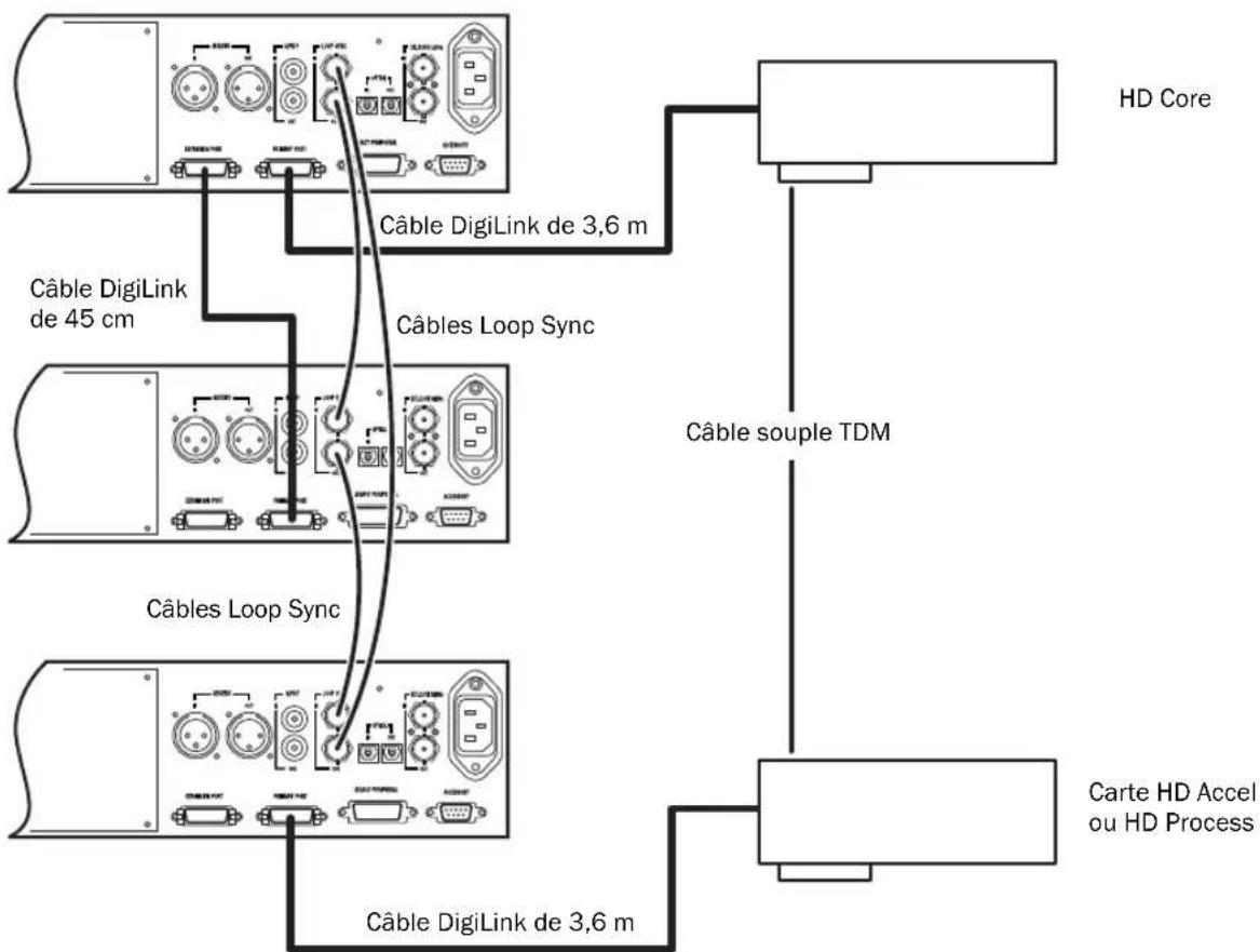 Avid Pro Tools HD 8.0 - Pour connecter des Interfaces audio Pro Tools|HD : - 2