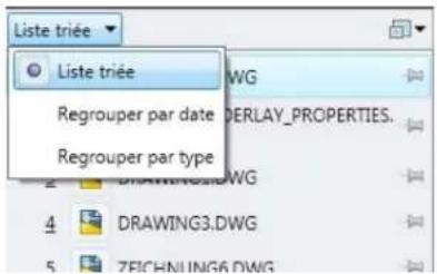 AUTODESK AutoCAD 2009 - Options de groupement - 1