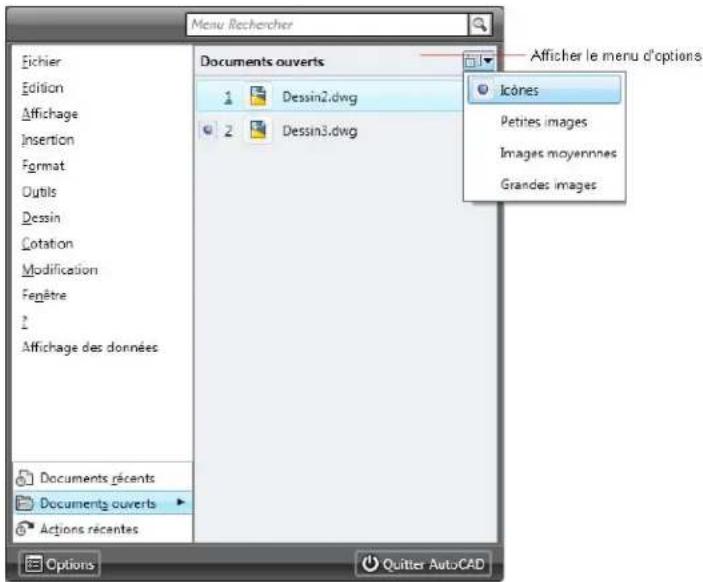 AUTODESK AutoCAD 2009 - Pour changer les options d'affichage en aperçu des documents ouverts - 1