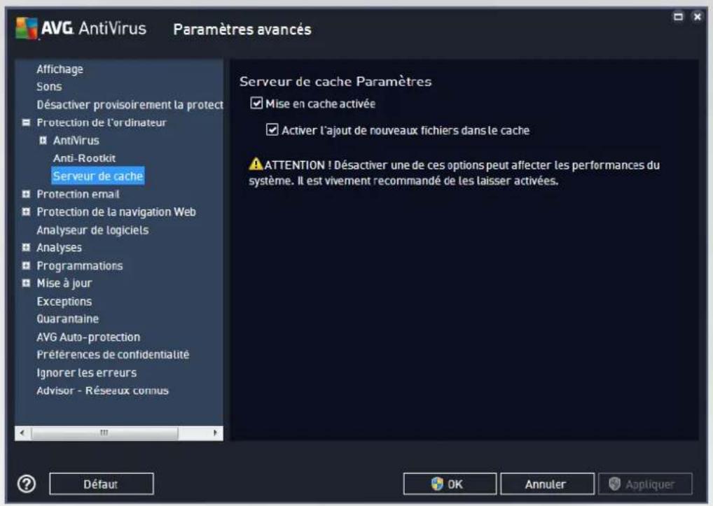 AVG AntiVirus 2016 - Serveur de cache - 1