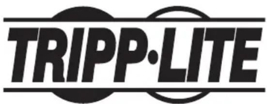 Tripp Lite UPB20K02U1C - Información de Cumplimiento con WEEE para Clientes y Recicladores de Tripp Lite (Unión Europea) - 2