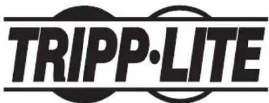 Tripp Lite WorkWise WWSSDC - 1