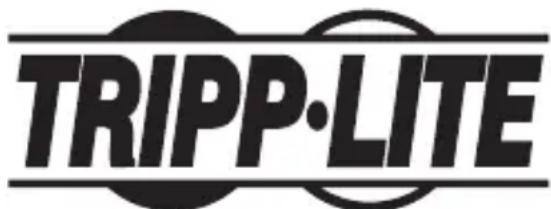 Tripp Lite B203101IND - Información de Cumplimiento con WEEE para Clientes y Recicladores de Tripp Lite (Unión Europea) - 2