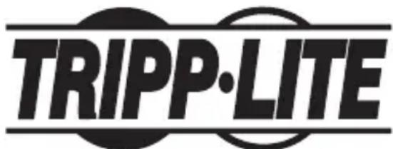 Tripp Lite B203101IND - Renseignements sur la conformité à la directive DEEE pour les clients de Tripp Lite et les recycleurs (Union européenne) - 2