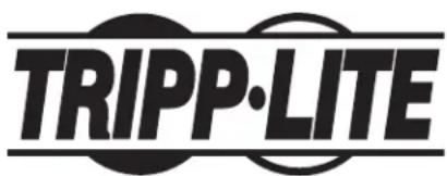 Tripp Lite SmartRack SRCOOL60KCW - Informations de conformité DEEE pour les clients et les recycleurs Tripp Lite (Union européenne) - 2