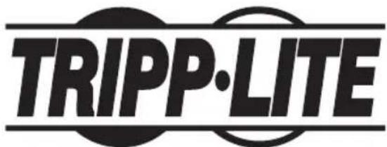 Tripp Lite WorkWise WWSSRDSTC - Station de travail mobile à hauteur réglable - 2