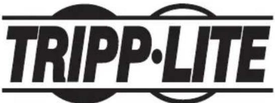 Tripp Lite WorkWise WWSSRDSTC - yXoI3a n3dennem - 1