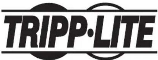 Tripp Lite WorkWise WWSSRDSTC - Передвжная рабоча станця Perулиремь ВсICOTbl - 2