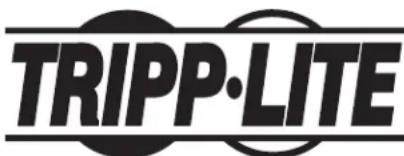 Tripp Lite CSC16USB - Información de sobre Cumplimiento de la WEEE para Clientes de Tripp Lite y Recicladores (Unión Europea) - 2