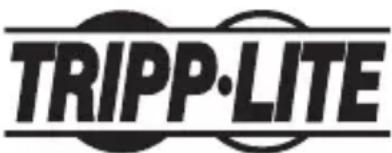 Tripp Lite U44406NHV4K - Información de Cumplimiento con WEEE por los Clientes y Recicladores de Tripp Lite (Unión Europea) - 2