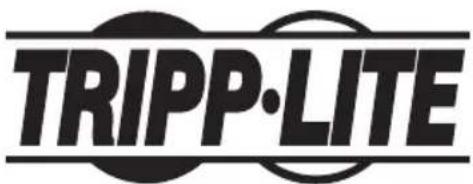 Tripp Lite DWFPSC4570M - Montage mural fixe pour panneau plat portrait - 5