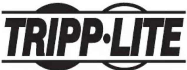 Tripp Lite U442DOCK21B - Renseignements sur la conformité à la directive DEEE pour les clients de Tripp Lite et les recycleurs (Union européenne) - 2