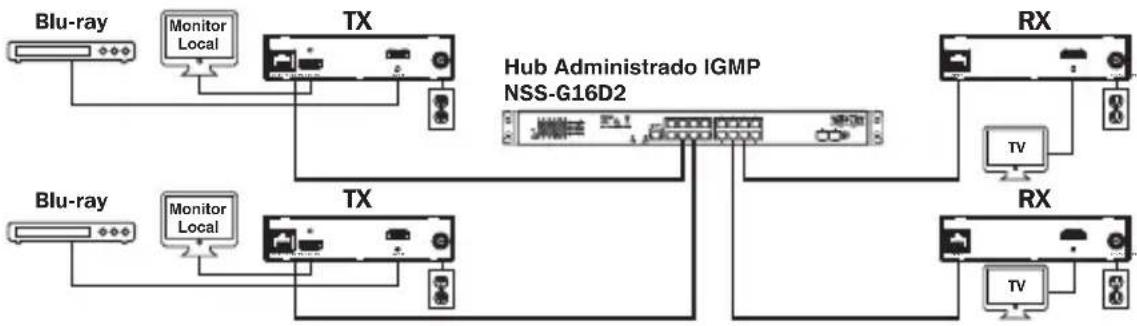 Tripp Lite B160001DPSI - Instalación Punto a Multipunto – Switch Administrado con IGMP - 3