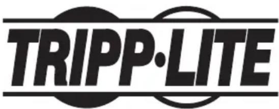Tripp Lite UPB12K0S2X2U - Información de Cumplimiento con WEEE para Clientes y Recicladores de Tripp Lite (Unión Europea) - 2