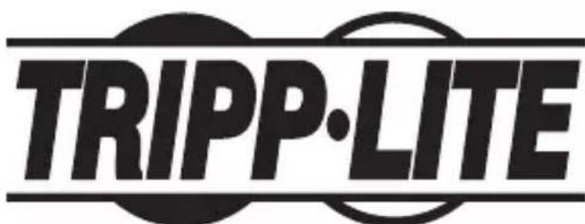 Tripp Lite U339E02 - Información de Cumplimiento con WEEE para Clientes y Recicladores de Tripp Lite (Unión Europea) - 2