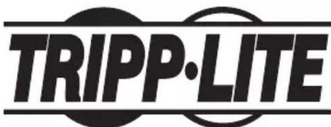 Tripp Lite U339E02 - Renseignements sur la conformité à la directive DEEE pour les clients de Tripp Lite et les recycleurs (Union européenne) - 2