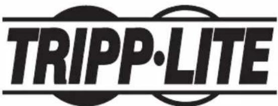 Tripp Lite PDU3XV6G20 - Medidor de cargo digital 15 - 1
