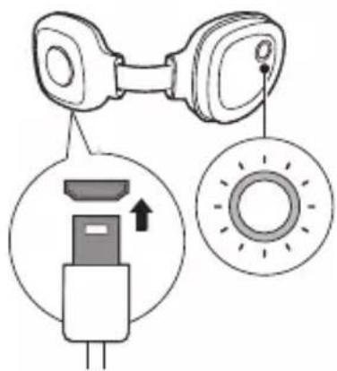 PHILIPS Series 6000 ACM067 - Brug af den elektriske blaeser - 1