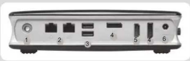 Zotac ZBOX MI551 - PANNEAU ARRIERE - 1