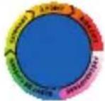 TEFAL OptiGrill YY4399 - Colori dell'indicatore del livello di cottura - 4
