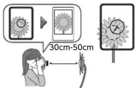 FUJIFILM Instax Mini 40 - Toma de un primer plano - 1