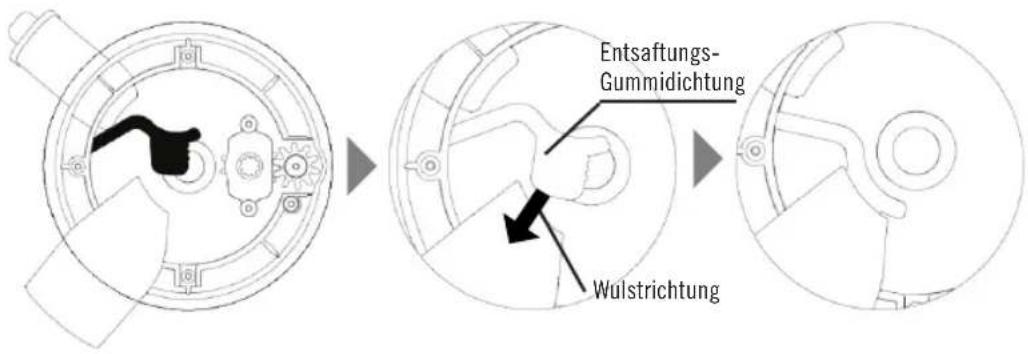 DEJELIN Slowjuicer SLJV4300 - An die Stromversorgung anschlieben - 1