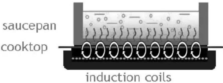 Zavor Induction Pro ZSEPR01 - How does induction work? - 1