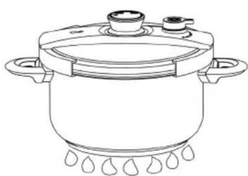 Zavor EZLock ZCWEZ05 - Closing the Lid and Cooking - 1