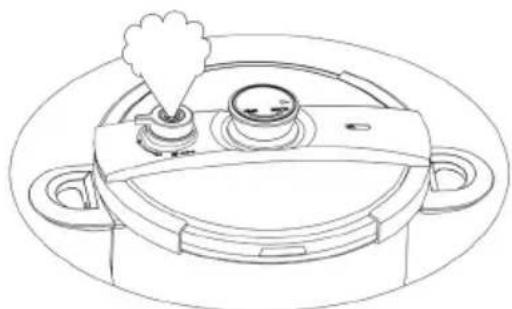 Zavor EZLock ZCWEZ02 - NEVER IMMERSE THE PRESSURE COOKER IN WATER. - 1