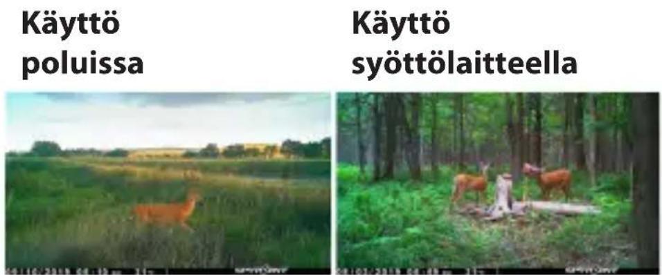 Spypoint SolarDark - EHDOTETTU VALOKUVATILAN MÄÄRITTELY - 1
