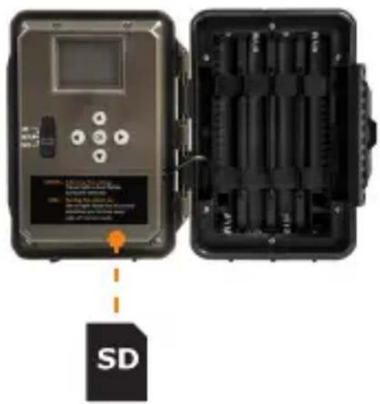 SD