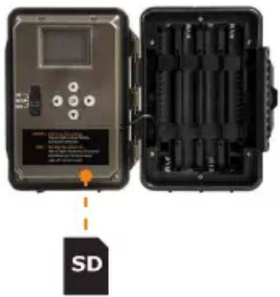 SD