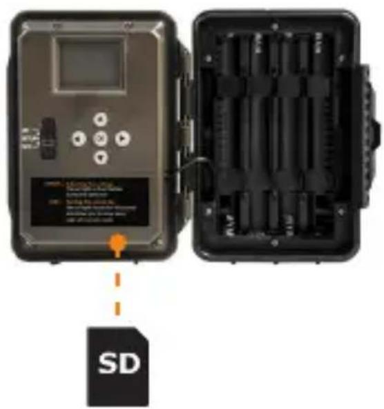 SD