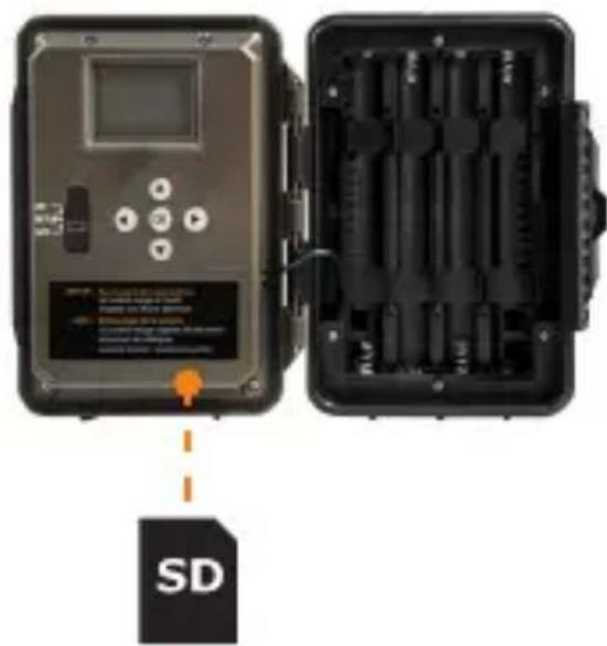 SD