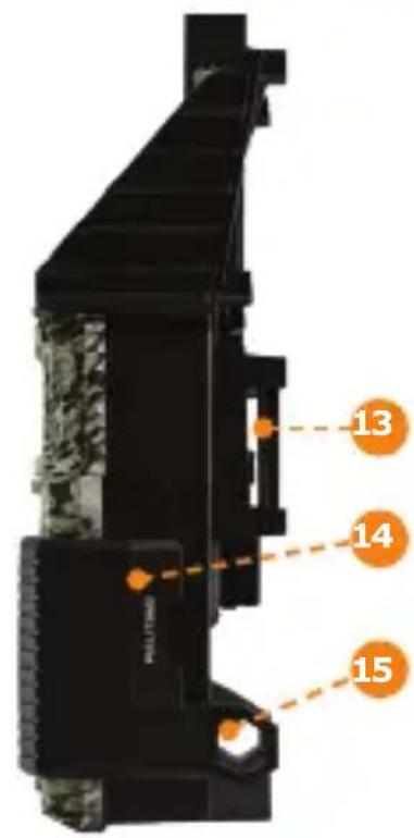 Spypoint LinkMicroSLTE - SUCASTI - 2