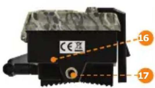 Spypoint LinkMicroSLTE - SUCASTI - 3