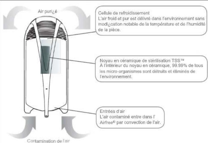 Air purifié Cellule de refroidissement L'air froid et pur est délivré dans l'environnement sans modification notable de la température et de l'humidité de la pièce. Noyau en céramique de stérilisation TSS™ A l'intérieur du noyau en céramique, 99.99% de tous les micro-organismes sont détruits et éliminés de l'environnement. Entrées d'air L'air contaminé entre dans l' Airfree® par convection de l'air. Contamination de l'air