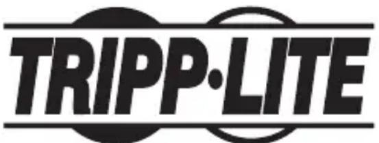 Tripp Lite B203104INDER - Rensseignements sur la conformité à la directive DEEE pour les clients de Tripp Lite et les recycleurs (Union europeenne) - 2