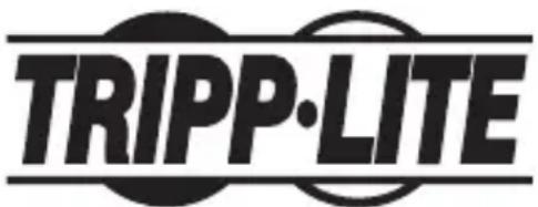 Tripp Lite B203104INDER - Rensseignements sur la conformité à la directive DEEE pour les clients de Tripp Lite et les recycleurs (Union europeenne) - 4