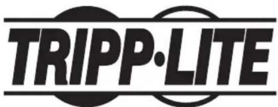 Tripp Lite WorkWise WWSSRC - PROTECT YOUR INVESTMENT! - 1