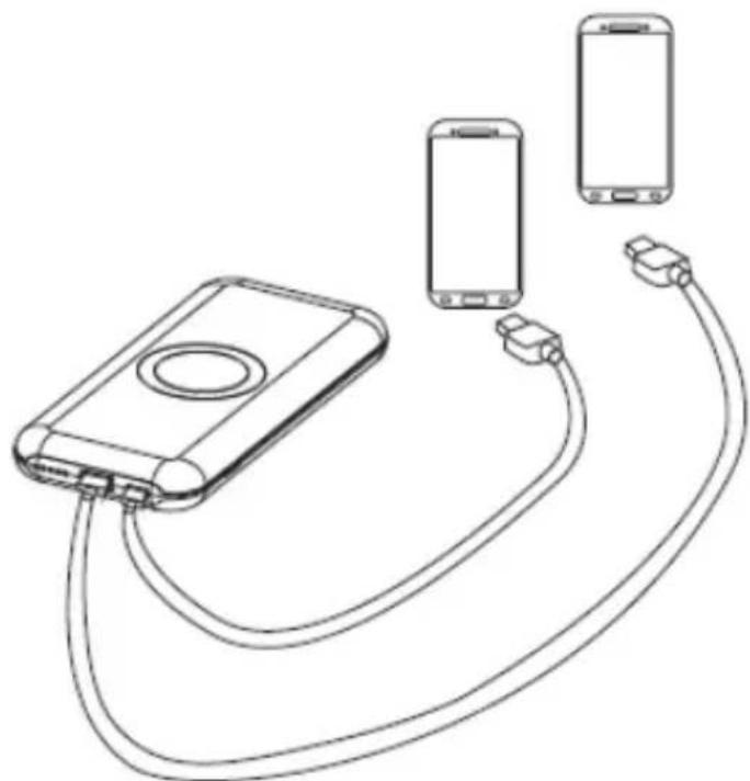 Tripp Lite UPB10K01U1CQ - Instrucciones de Carga para el Dispositivo USB - 1