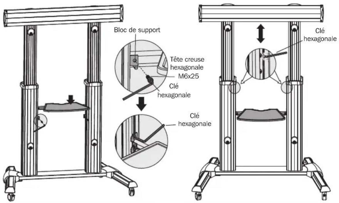 Tripp Lite DMCS60100XX - Fixer l'étagère pour DVD aux colonnes. - 1