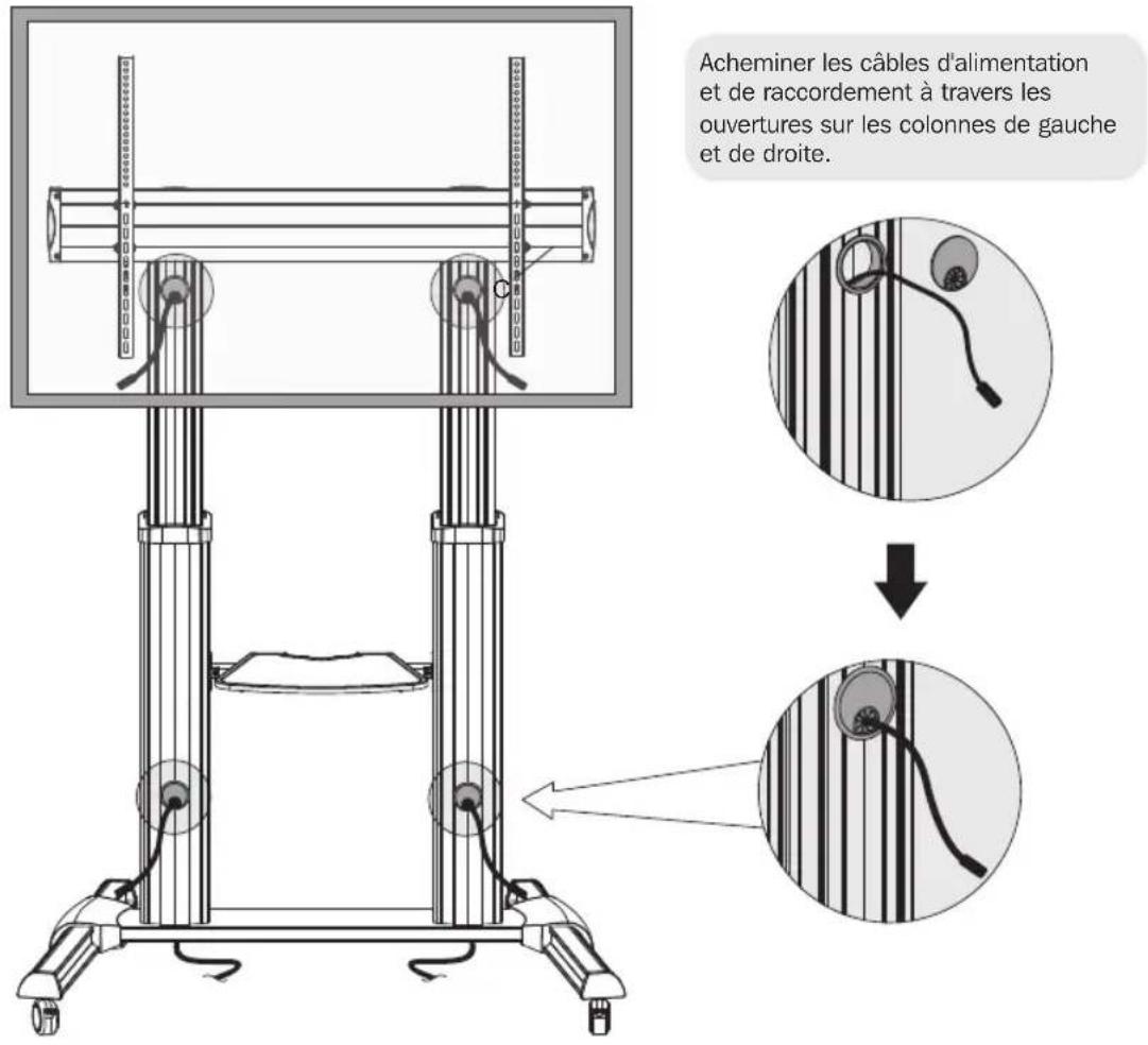 Tripp Lite DMCS60100XX - Gestion des câbles - 1