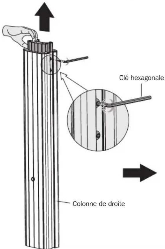Tripp Lite DMCS60100XX - Réglage de la hauteur de la colonne - 2