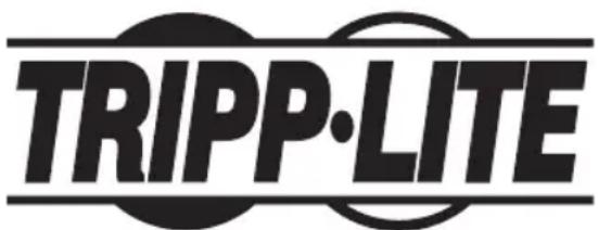Tripp Lite PDU3VS6H50 - Información de sobre Cumplimiento de la WEEE para Clientes de Tripp Lite y Recicladores (Unión Europea) - 2