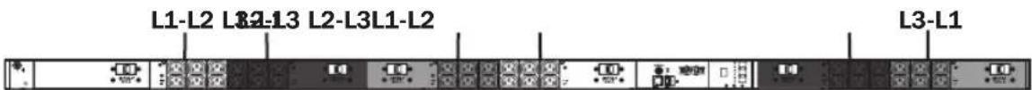 Tripp Lite PDU3VN6L2120 - Pantalla Digital - 1